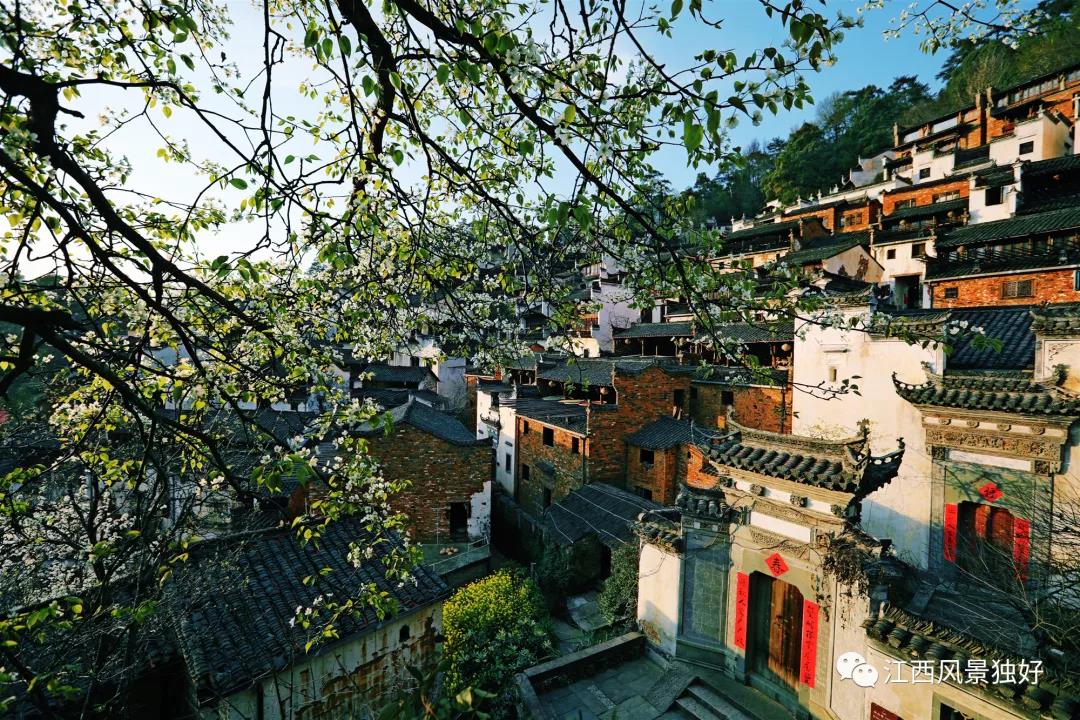 微信图片_20210901192554.jpg